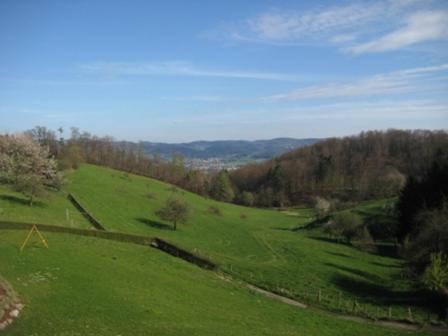 Waldschenke Fuhr Hotel Heppenheim  Kültér fotó